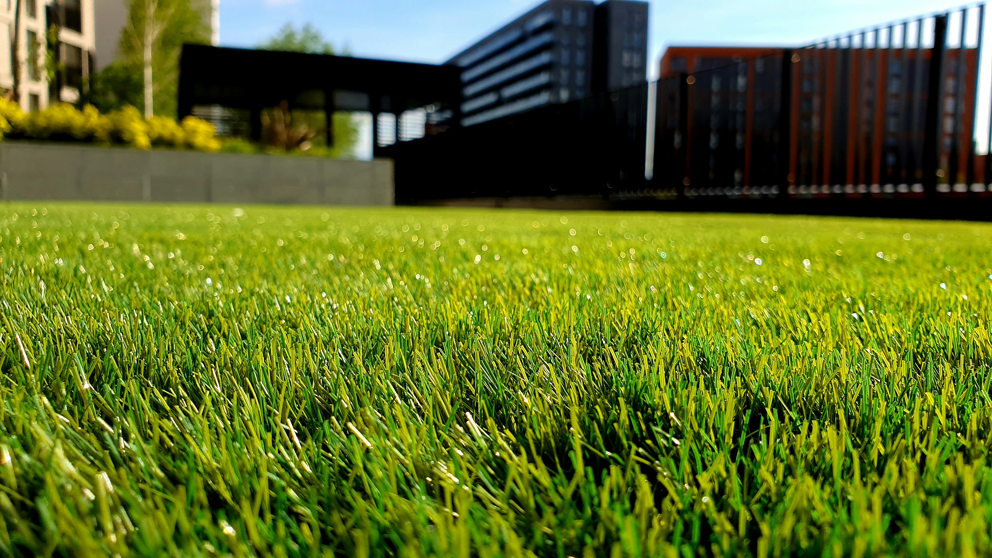 Lawn care service