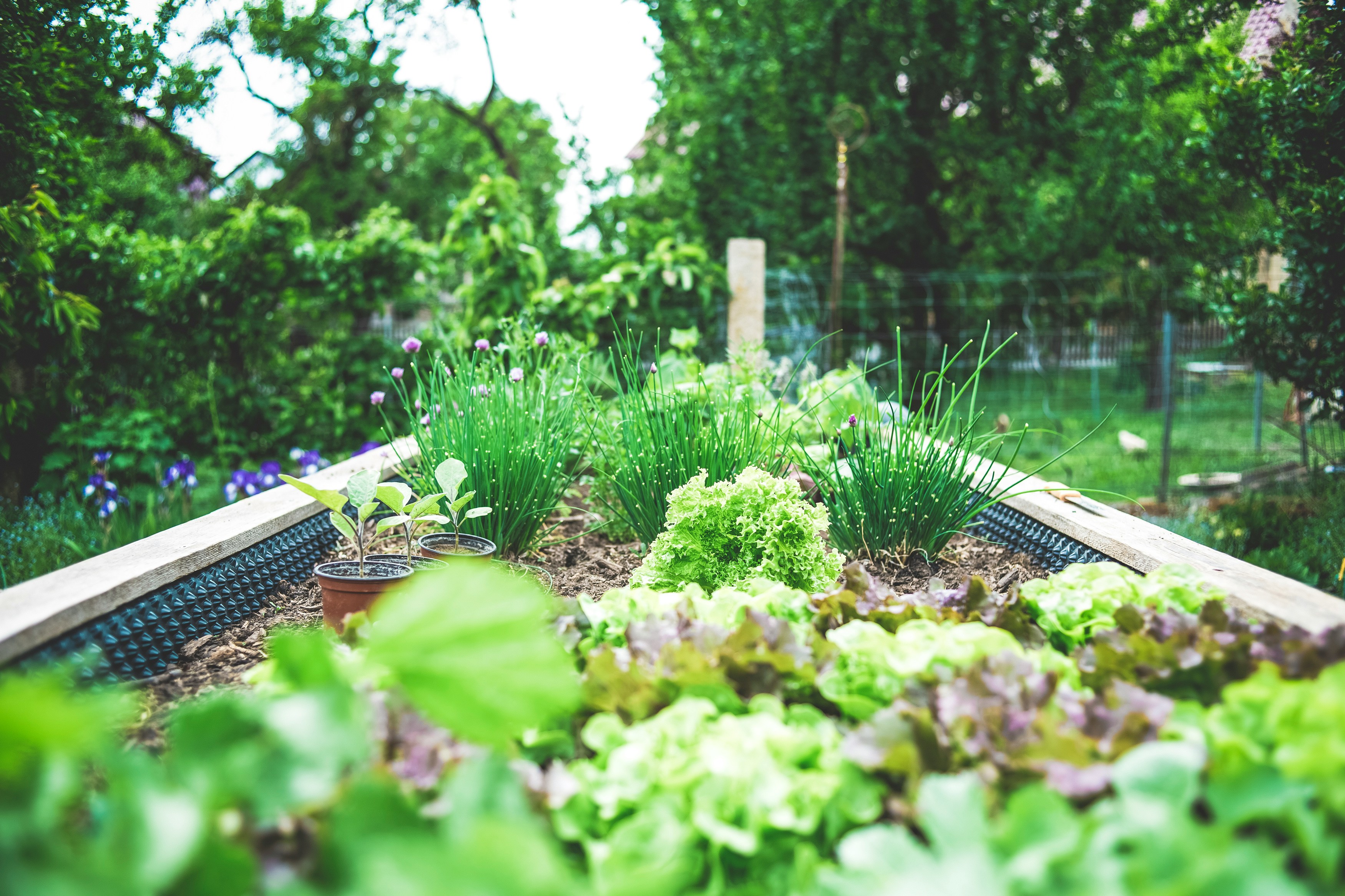 Seasonal planting service